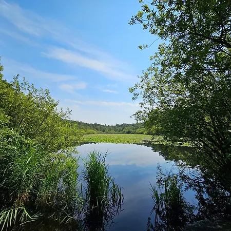 דירה Itjen Am 1 Gruen קושהאבן